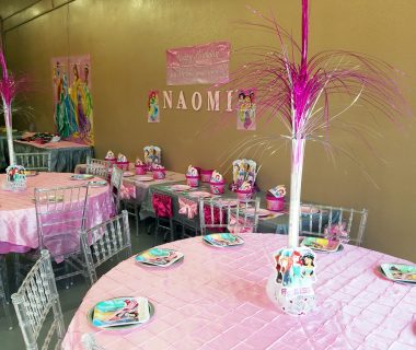 Birthday Party Setup