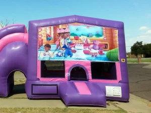Doc McStuffins graphic panel