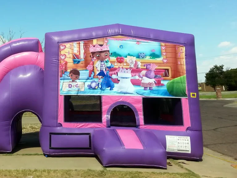 Doc McStuffins bounce house graphic panel