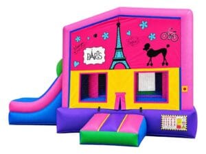 Paris graphic panel