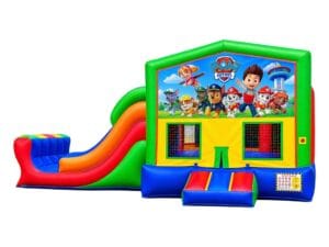 Paw Patrol graphic panel