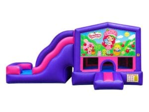 Strawberry Shortcake graphic panel