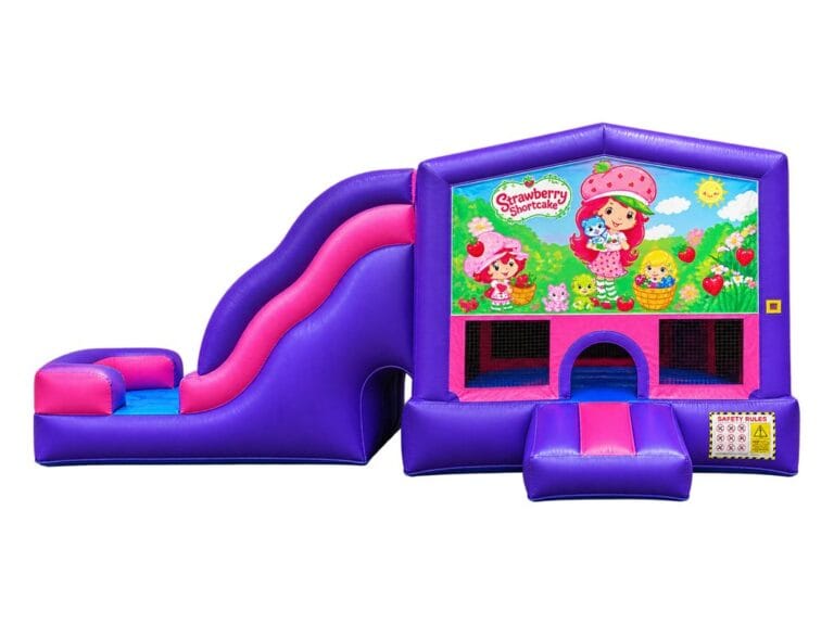Strawberry Shortcake bounce house graphic panel