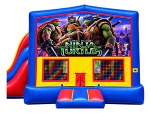 Teenage Mutant Ninja Turtles graphic panel